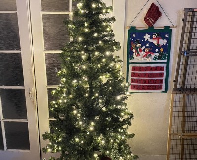 Guest review image 1 of 2, zoom in