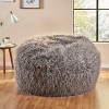 Lachlan Furry Bean Bag - Christopher Knight Home - 2 of 4