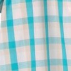 light teal check