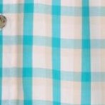 light teal check