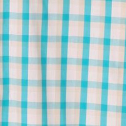 light teal check