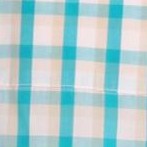 light teal check