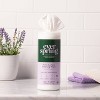 Lavender & Bergamot Multi Surface Cleaning Wipes - 35ct - Everspring™ - 2 of 4