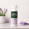 Lavender & Bergamot Multi Surface Cleaning Wipes - 35ct - Everspring™ - image 2 of 4