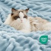 Bedsure Ultra-Plush Fleece Blanket - Warm Winter Blanket for Bed, Soft Home Decor Throw for Couch, All-Season Coziness - 4 of 4