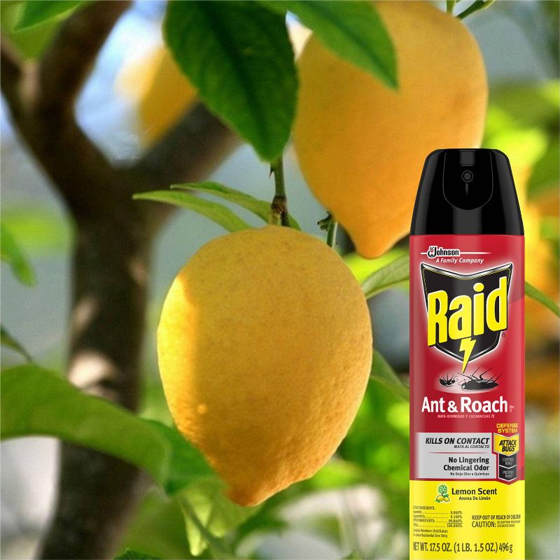 Raid Ant and Roach Killer Lemon Scent - 17.5oz, 3 of 15