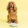 Mason Cash: Speckle Dip Dog Bowl, 7", 28.7oz, Green, Cream, Food & Water Dish - 3 of 4