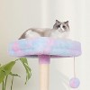 Rainbow Cute Cat Tree for Indoor Cat Tower with Scratching Post Modern Activity House Hammock - 4 of 4