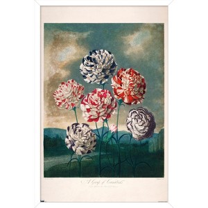 Trends International A Group Of Carnations Framed Wall Poster Prints - 1 of 4