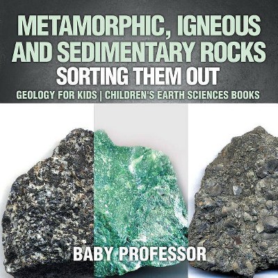 Metamorphic, Igneous and Sedimentary Rocks - by  Baby Professor (Paperback)