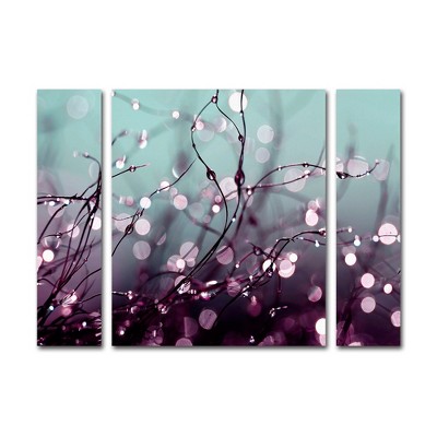 Trademark Fine Art - Beata Czyzowska Young 'Over the Rainbow'