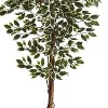 HomeStock  6 ft. Artificial Ficus Tree in Pot for Indoor/Outdoor - 3 of 4