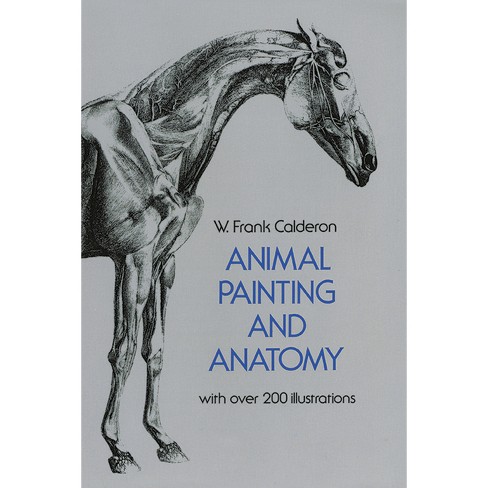 Animal Painting And Anatomy - (dover Anatomy For Artists) By W Frank  Calderon (paperback) : Target