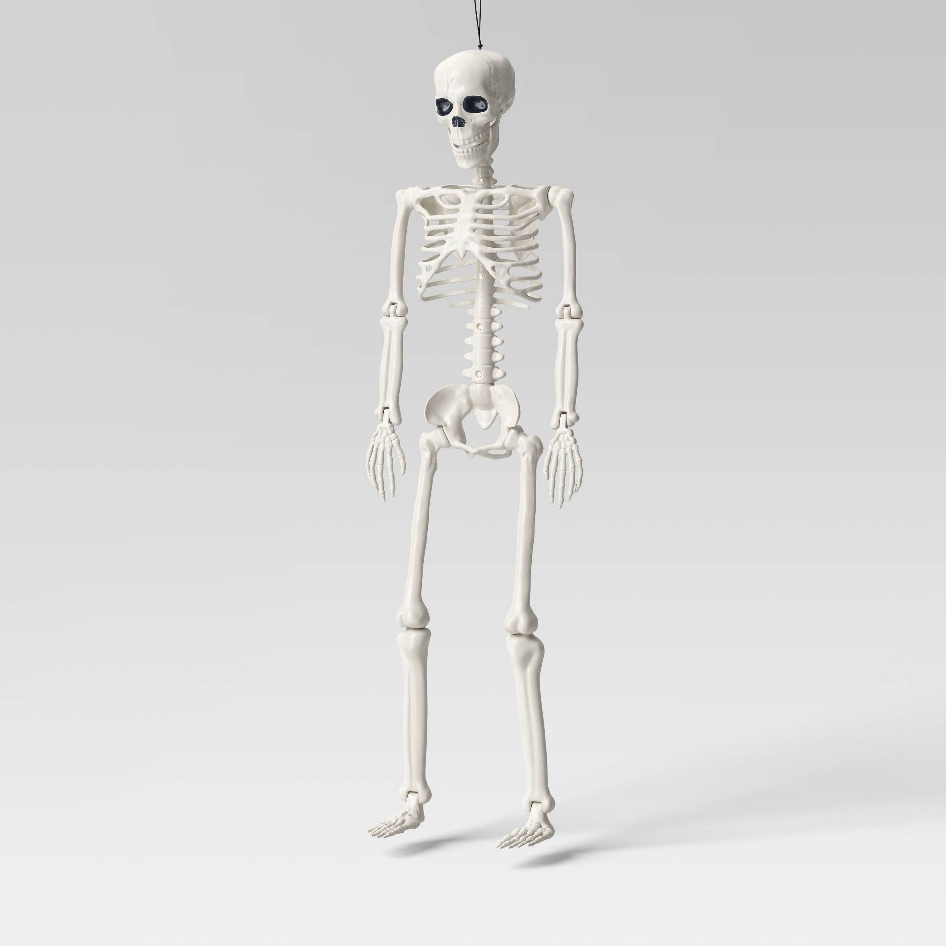 36" Posable Skeleton Halloween Decorative Mannequin - Hyde and EEK! Boutique™: Realistic, Movable Joints