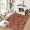 Modern Abstract Geometric Stripe Rugs for Living Room Bedroom Soft Low Pile Carpet Indoor Washable Non Slip Easy Care Area Rug - 2 of 4