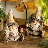 Evergreen Resin Woodland Gnome Tabletop Decor with Wreath - 3 of 3