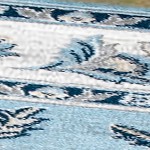 blue/cream