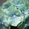 Sullivans Artificial Light Blue Hydrangea Stem 20"H - 2 of 2