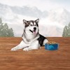 Blue Buffalo Wilderness High Protein Natural Adult Dry Dog Food with Salmon - image 4 of 4
