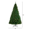Nearly Natural 10-ft Northern Tip Artificial Christmas Tree with 800 Clear LED Lights and 2200 Bendable Branches - 2 of 4