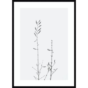 30"x41" Retro Tennessee Botanical Print No 2 by Stephanie Klatt Wood Framed Wall Art Print Black - Amanti Art - 1 of 4