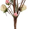 Northlight 33" Cream/Pink Artificial Floral Spring Pick - 4 of 4