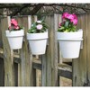 Esterno Metal Wall Ring White Planters; Wall-Mounted Garden Pot Holders Indoor / Outdoor - 4 of 4