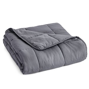 Microfiber 12lbs Weighted Blanket Charcoal - PUR & CALM: Hypoallergenic, Glass Bead Fill, 48x72" - 1 of 4