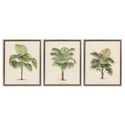 Stupell Industries Les Palmiers Botanical Trio, 17" x 21"