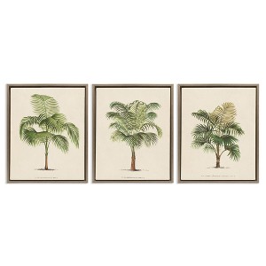 Stupell Industries Les Palmiers Botanical Trio, 17" x 21" - 1 of 4