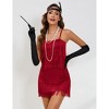 Womens Roaring 20s Costumes Flapper Dress 1920s Vintage Fringe Dress Cocktail Theme Party Dress - 4 of 4