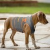 NCAA Tennessee Volunteers Soothing Solution Pets Vest - image 3 of 4