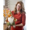 Evergreen Plush Harvest Gnome with Basket Table D√©cor - 4 of 4