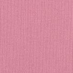 pink purple rose