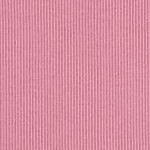 pink purple rose