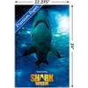 Trends International Shark Week - Smile Unframed Wall Poster Prints - 3 of 4