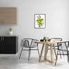 Stupell Industries Lemon Citrus Fruit Tree Framed Giclee Art - 3 of 4