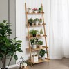 Tangkula 5-Tier Bamboo Ladder Shelf Wall-Leaning Bookshelf Display Bookcase Storage Rack - 4 of 4
