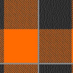 houston dynamo