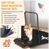 Gulches Dog Treadmill Small Dogs - Dog Treadmill for Medium Dogs - Dog Pacer Treadmill for Healthy & Fit Pets - 4 of 4