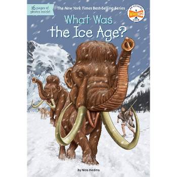 What Was the Ice Age? -  (What Was...?) by Nico Medina (Paperback)