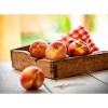 Organic Nectarines - 2lbs - 2 of 4