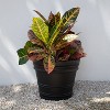 Bloem Rolled Rim Indoor Outdoor Planter Pot Black 21.5"x19.5" - 3 of 3
