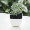 Unique Bargains Artificial Plants Plastic Green 2.2"x2.2"x2.56" 1 Pcs - 2 of 4