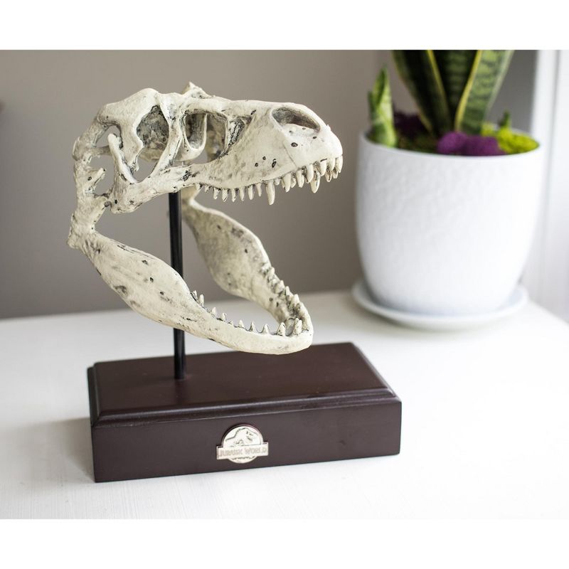 Surreal Entertainment Jurassic World 9x8 Inch Tyrannosaurus Rex Skull Resin Replica, 4 of 8