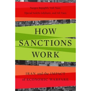 How Sanctions Work - by  Narges Bajoghli & Vali Nasr & Djavad Salehi-Isfahani & Ali Vaez (Paperback) - 1 of 1