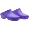 Calzuro Adult Classic Clogs Purple - 4 of 4