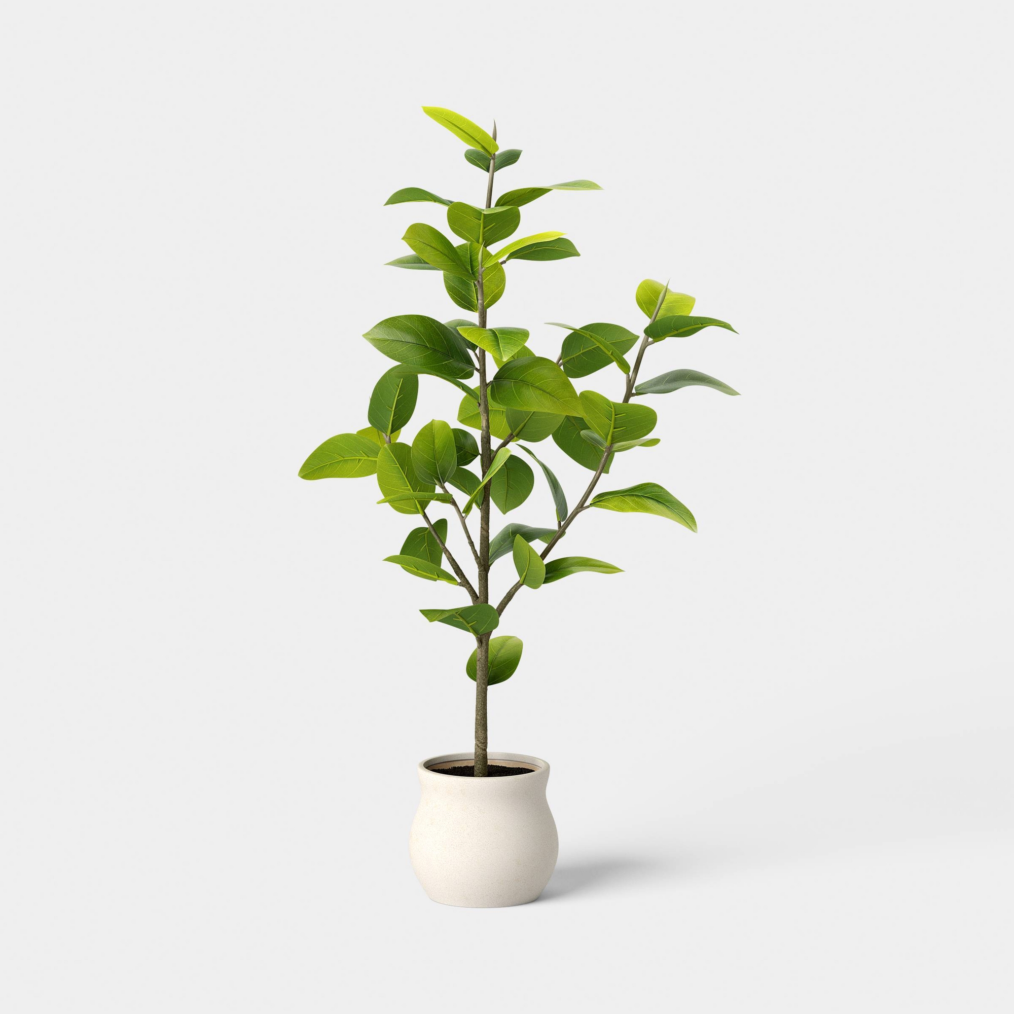 43" Ficus Tree - Threshold™