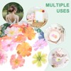 Unique Bargains Silk Fake Plum Blossom Artificial Flower Heads - 4 of 4