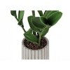 Monarch Specialties Artificial Plant 20 inch Tall Zz Indoor Faux Fake Table Greenery Potted Real Touch Decorative Green Leaves Grey Cement Pot - 3 of 4